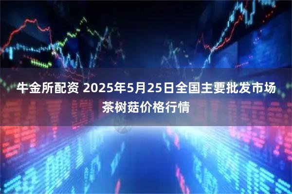 牛金所配资 2025年5月25日全国主要批发市场茶树菇价格行情