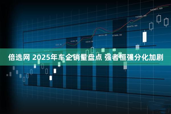 倍选网 2025年车企销量盘点 强者恒强分化加剧