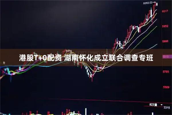 港股T+0配资 湖南怀化成立联合调查专班