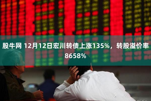 股牛网 12月12日宏川转债上涨135%，转股溢价率8658%