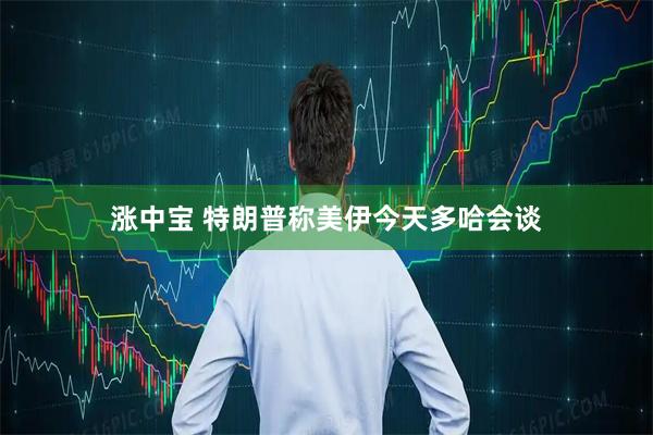 涨中宝 特朗普称美伊今天多哈会谈